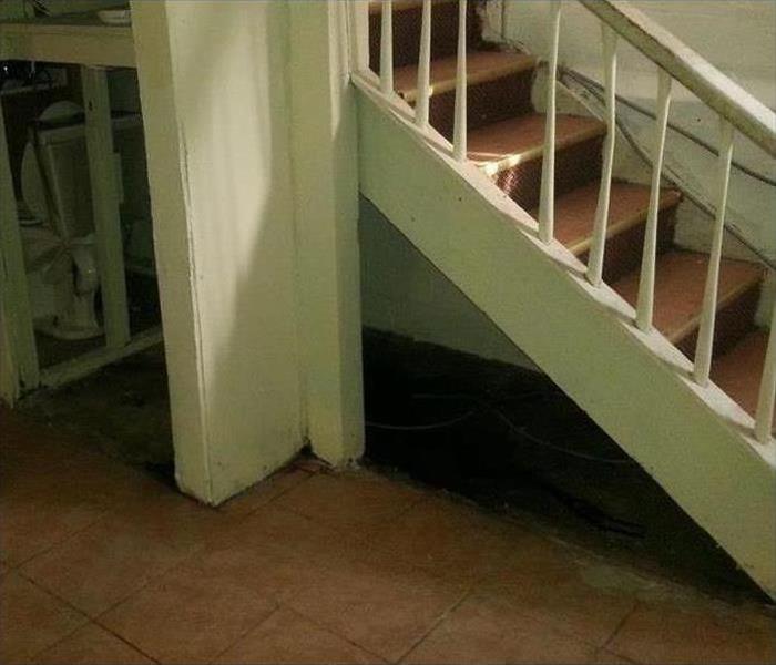 Moldy Stairs After