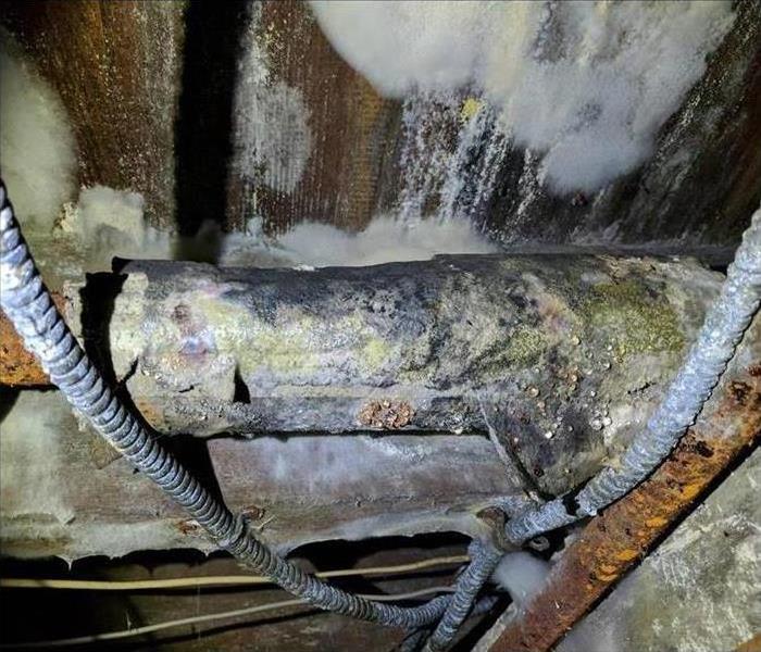 Moldy Basement Pipe