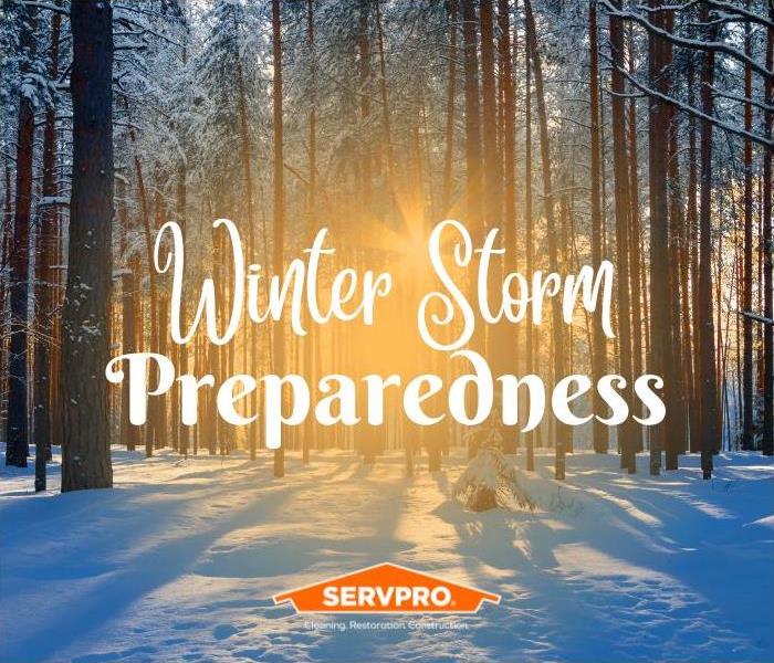 a picture of a snowy forest with the words winter storm preparedness