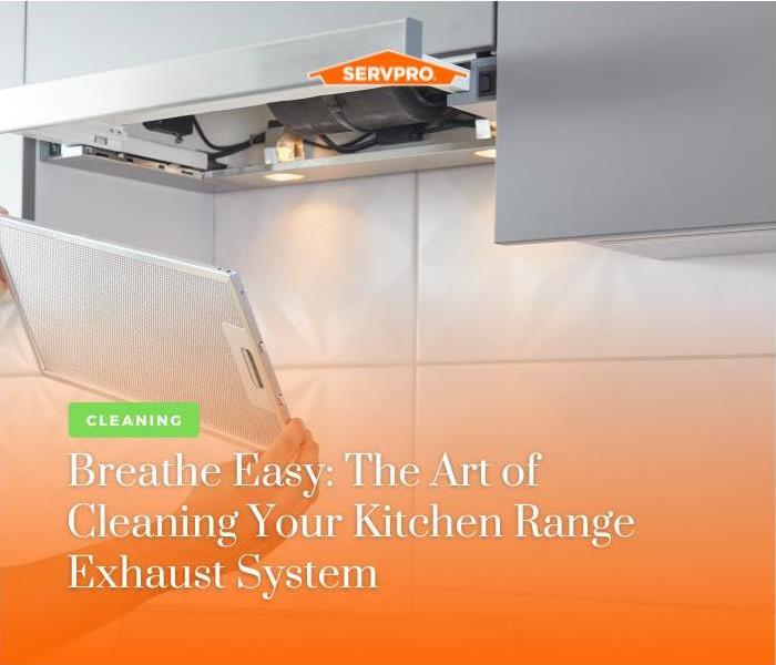 a kitchen range exhaust system